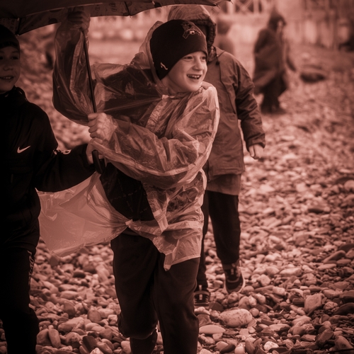 Photo #14187575