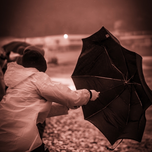 Photo #14187576