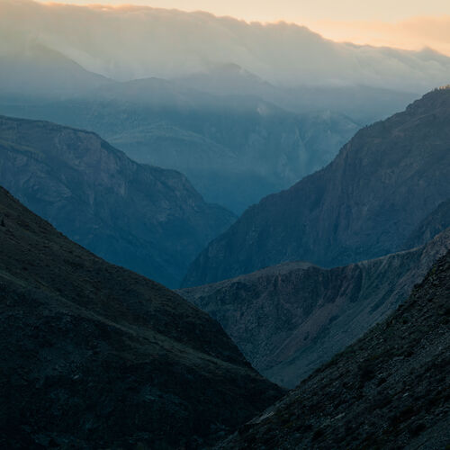Photo #14187820