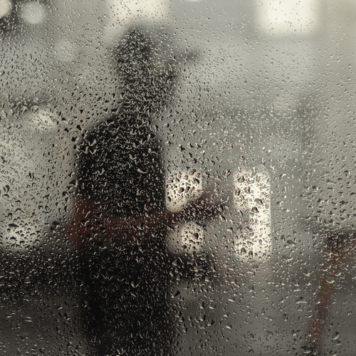 Photo #14188181