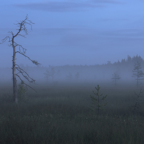 Photo #14188256