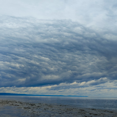 Photo #14188577
