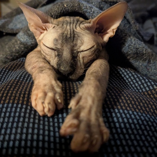 Photo #14188768