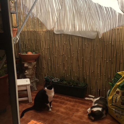 Photo #14189622
