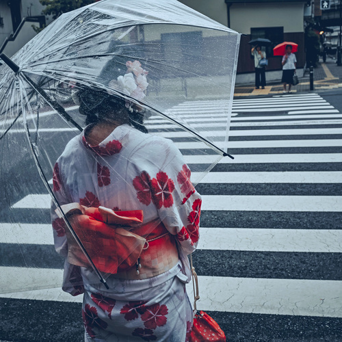 Photo #14190556