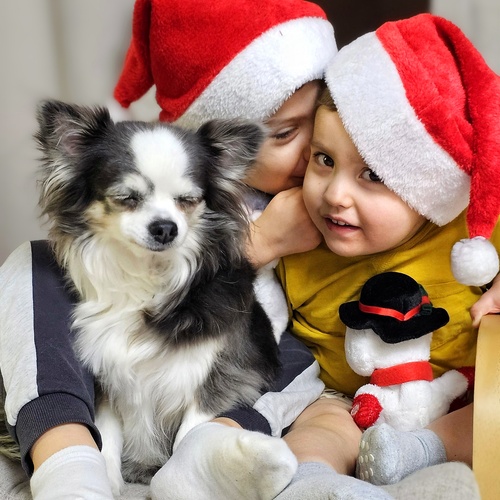 Photo #14191158