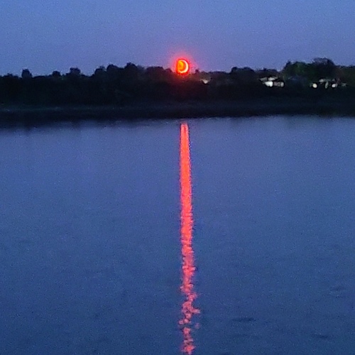 Photo #14191275