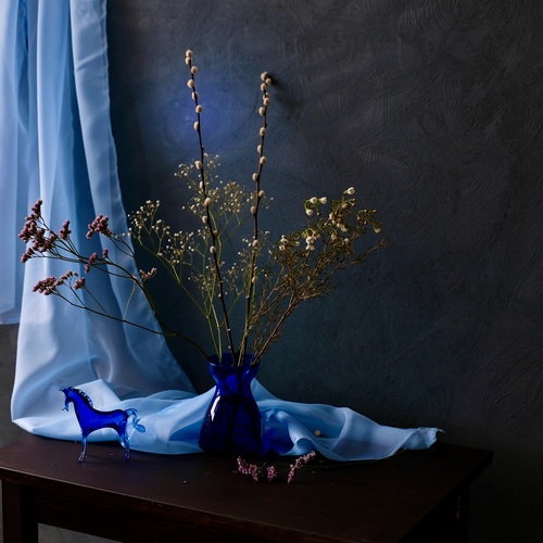 Blue horse