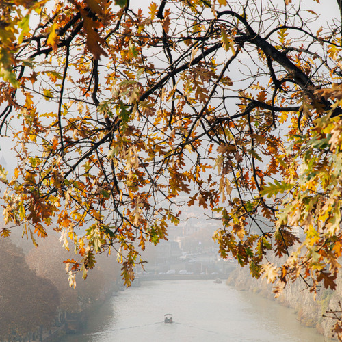 Photo #14191868