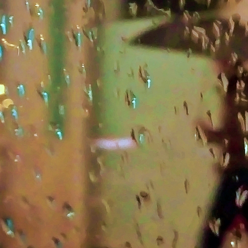 Walking in the rain