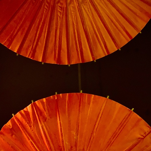 Photo #14192232