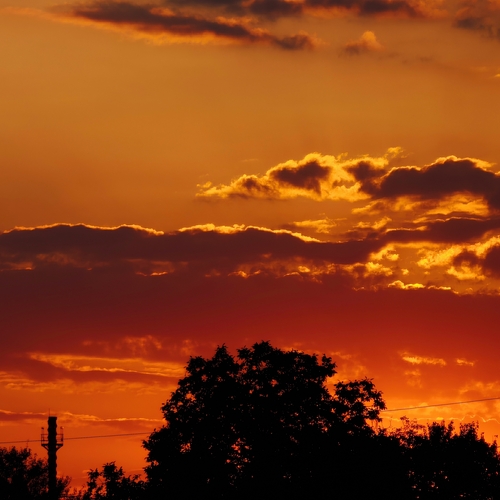 Photo #14192529
