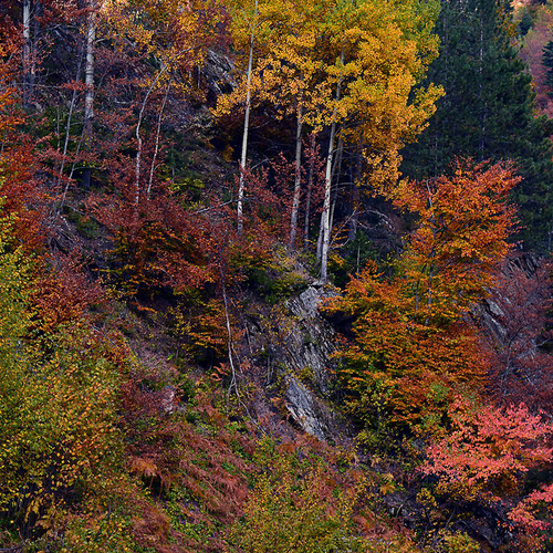 Autumn colors 2