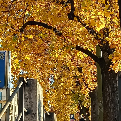 Under the Golden Arch