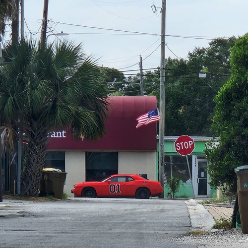 Red in Savannah