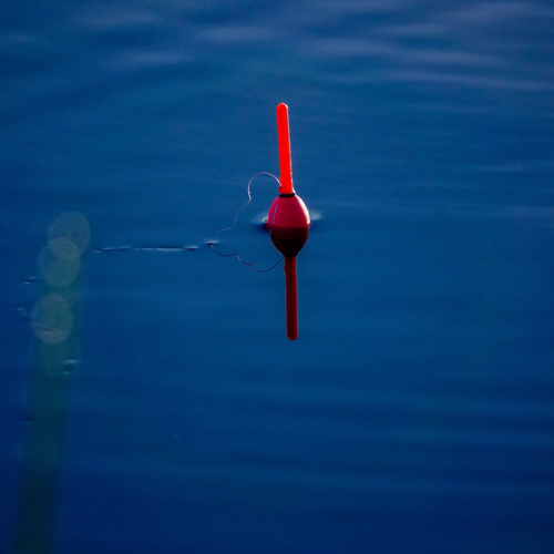 Photo #14193078