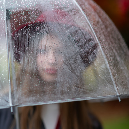 Rain
