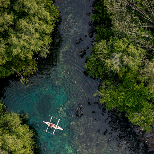 Floating in Clarity