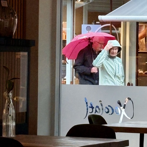 Фотография #14193608