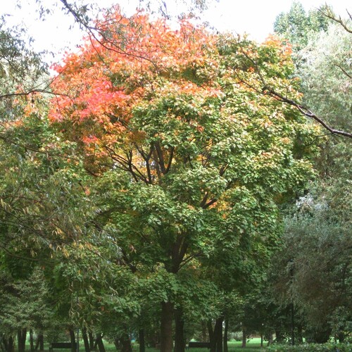 Photo #14193832
