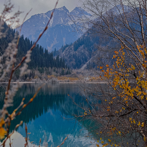 Photo #14194075