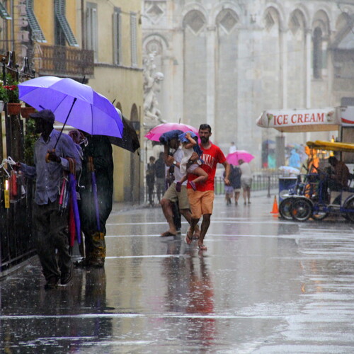 Photo #14194425