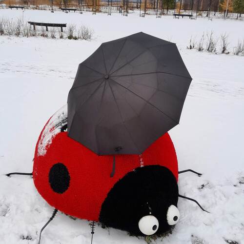 Photo #14194494