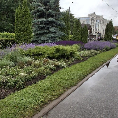 Photo #14194739