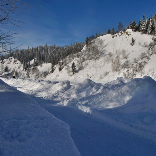 Photo #14194863