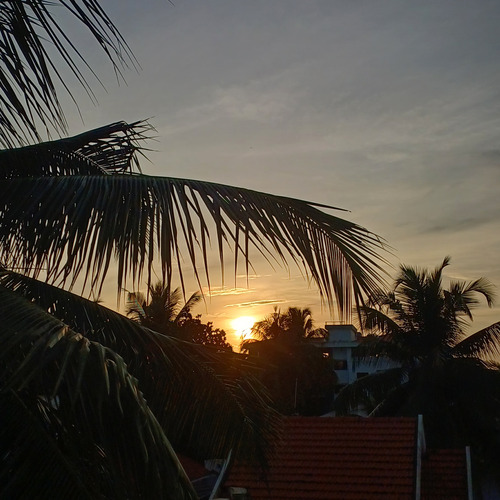 Photo #14194958