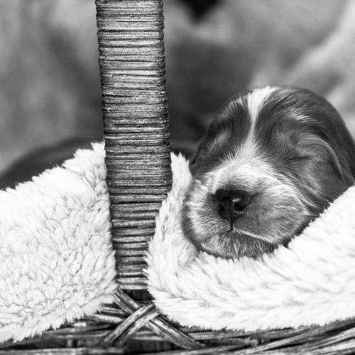 Photo #14195328