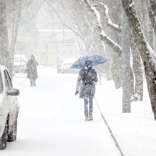 Photo #14195456