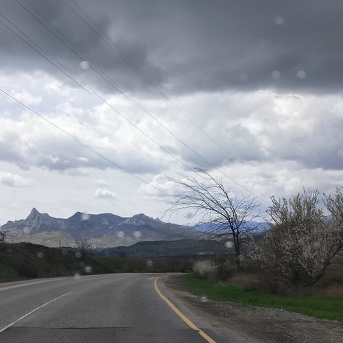 Photo #14195469