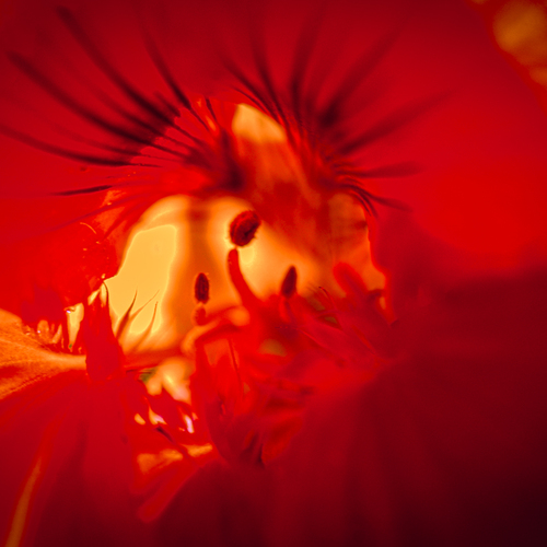 Photo #14195474