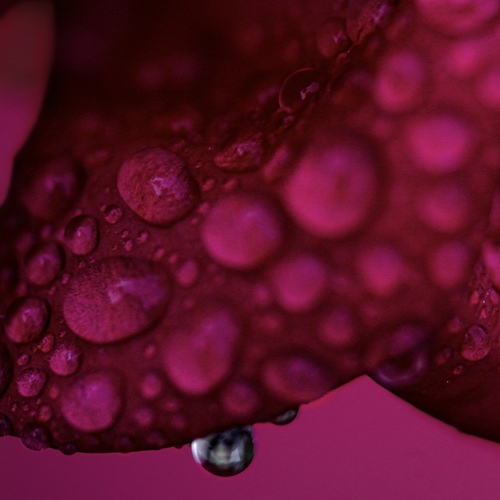 Photo #14195495