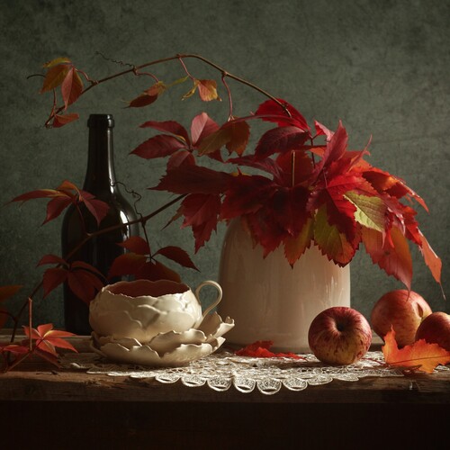 Photo #14195504