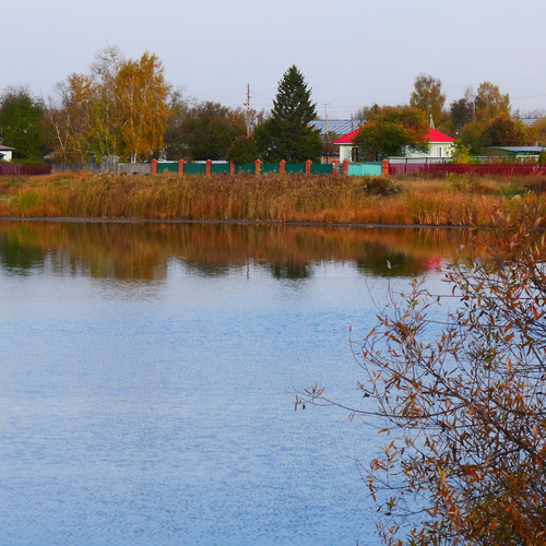 Photo #14195813