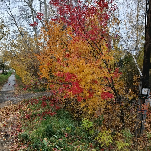 Photo #14195845