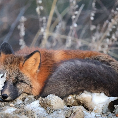 Photo #14195930