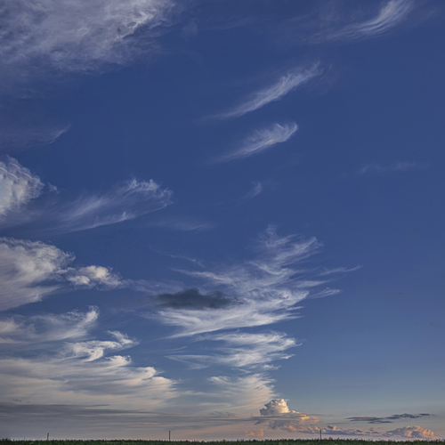 Photo #14196704