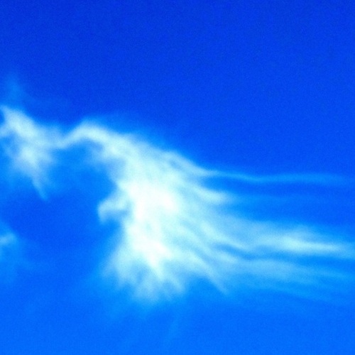 Photo #14196722