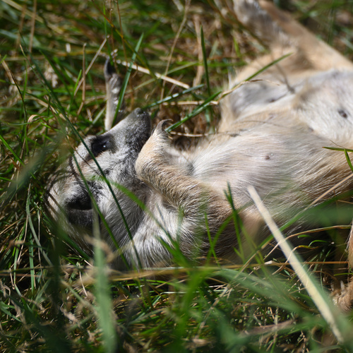 Photo #14197325