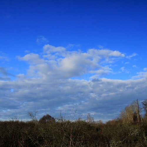 Photo #14197811