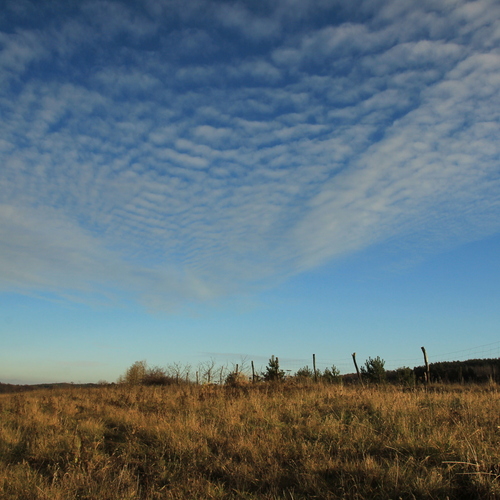 Photo #14197868