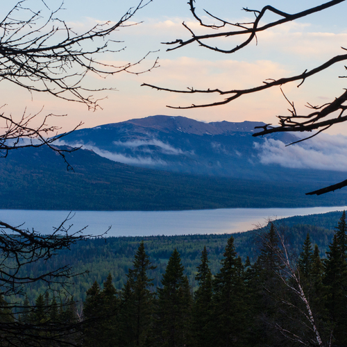 Photo #14198552