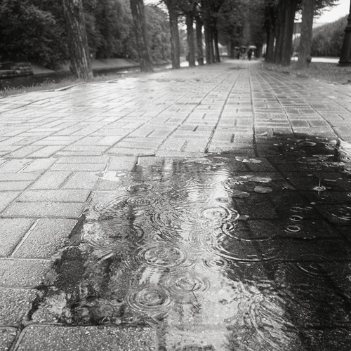Photo #14199776