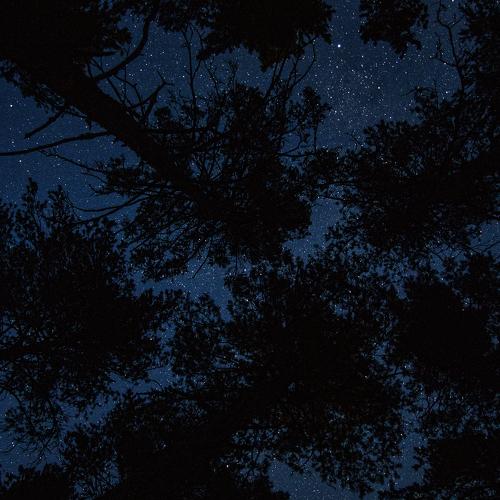 Photo #1424512
