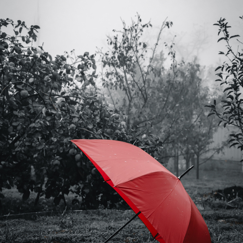 Photo #14200108