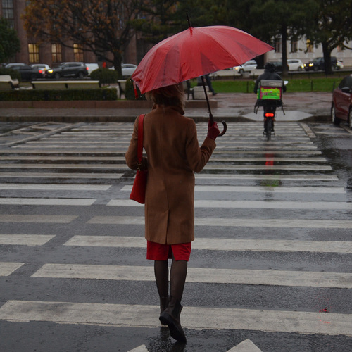 Photo #14200677