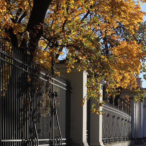 Photo #14200803